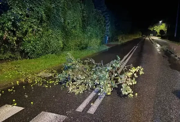 Gałąź na jezdni w Kłodawie – interwencja OSP