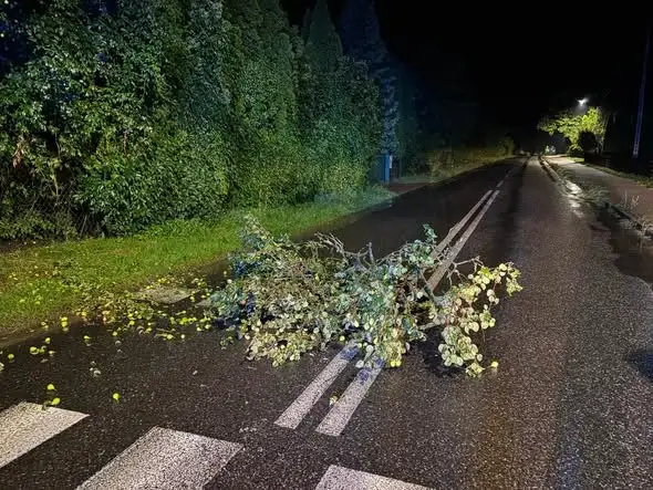 Gałąź na jezdni w Kłodawie – interwencja OSP