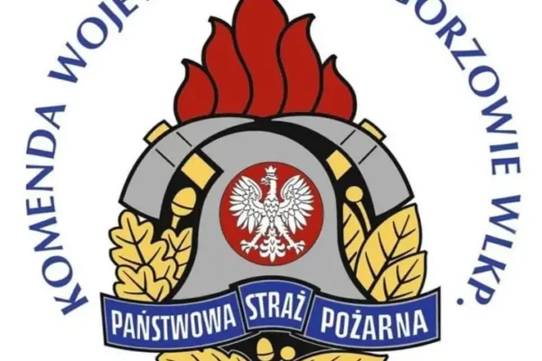 Trening Kompanii Reprezentacyjnej lubuskiej PSP w Świebodzinie
