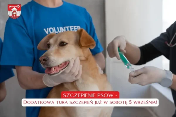 Dodatkowa tura szczepień przeciwko wściekliźnie w gminie Santok