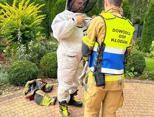 Gniazdo os przy ulicy Żniwnej w Kłodawie — interweniowała OSP Kłodawa