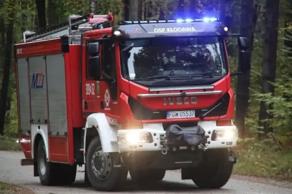 Interwencje OSP Kłodawa: dwa usuwania gniazd os w Chwalęcicach i Kłodawie