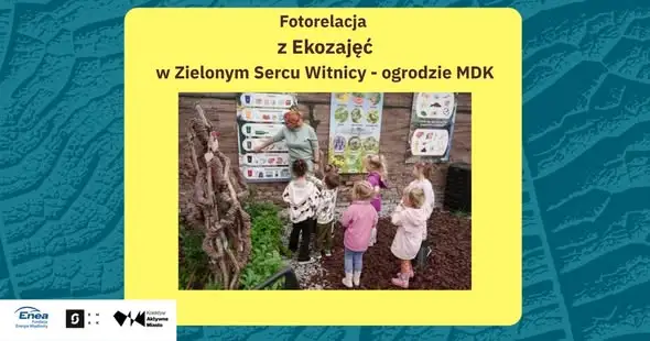 Edukacja ekologiczna dla dzieci w Witnicy – nauka przez zabawę