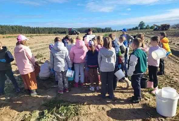 Wykopki pełne wrażeń – uczniowie z Bogdańca na farmie w Połęcku