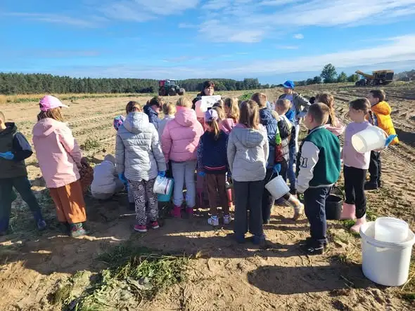Wykopki pełne wrażeń – uczniowie z Bogdańca na farmie w Połęcku