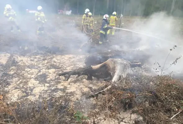 Pożar torfowiska w lesie pod Mystkami. Strażacy z OSP Lubiszyn w akcji