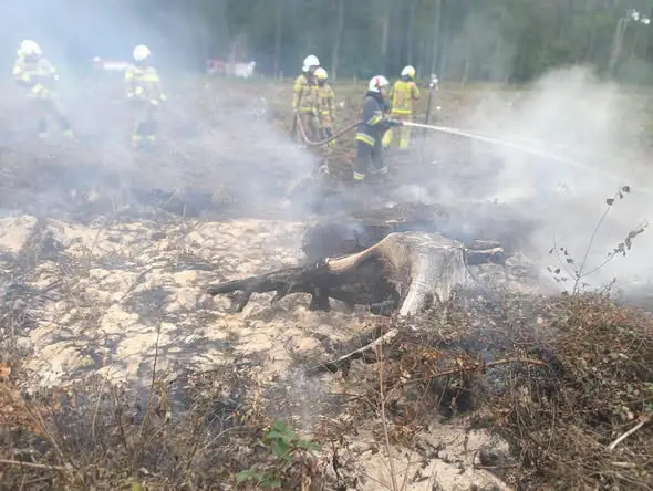Pożar torfowiska w lesie pod Mystkami. Strażacy z OSP Lubiszyn w akcji