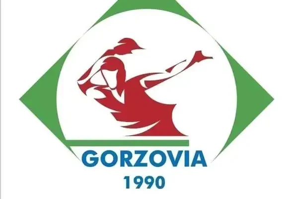 Remis 5-5 GKS Gorzovii Gorzów Wielkopolski w wyjazdowym meczu z Feniks Recykling Bogorią II