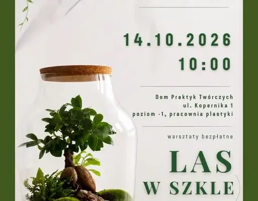 Bezpłatne warsztaty „Las w szkle” dla seniorów w Domu Praktyk Twórczych – ostatnie miejsce!