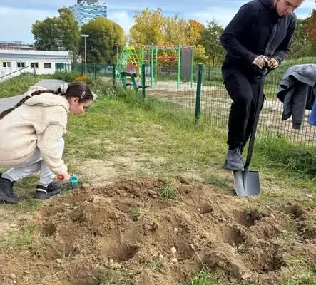 Pola Nadziei: wolontariusze z Małej Szkoły posadzili ponad 300 żonkili