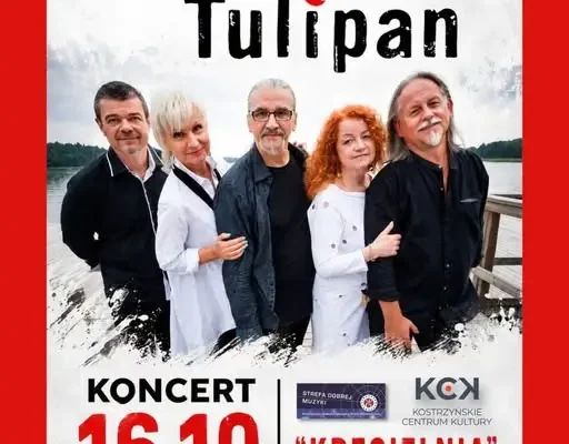 Koncert Czerwony Tulipan w Kostrzynie – bilety jeszcze dostępne przy wejściu