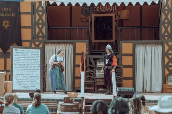 Ogólnopolski Festiwal Teatrów Osób z Niepełnosprawnościami „Osobliwości” – znamy zakwalifikowane zespoły